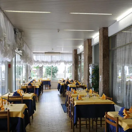 Mimosa Lignano Sabbiadoro