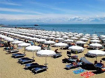 Mimosa Lignano Sabbiadoro