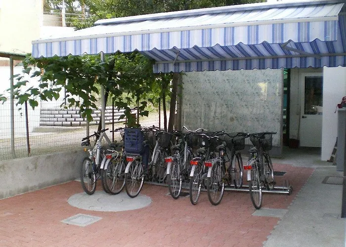 Отель Mimosa 3*